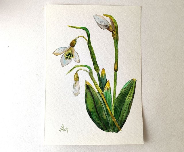 スノードロップ絵画オリジナル水彩画アート植物花のアートワーク花