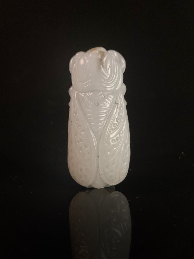 19世紀 白玉蟬 - 擺飾/家飾品 - 玉石 