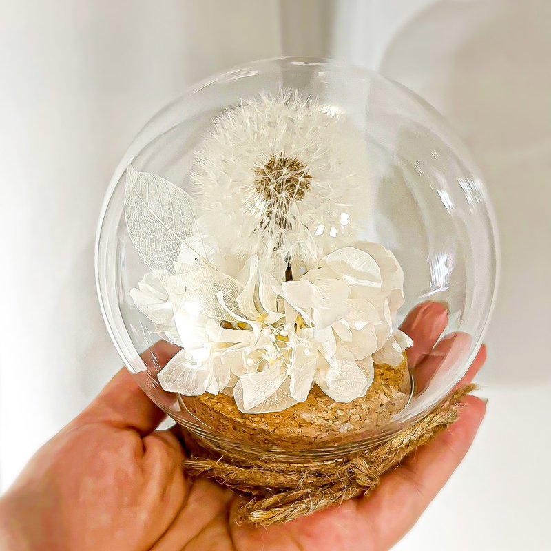 雪球蒲公英 軟木塞花盅 永生花 - 擺飾/家飾品 - 植物．花 