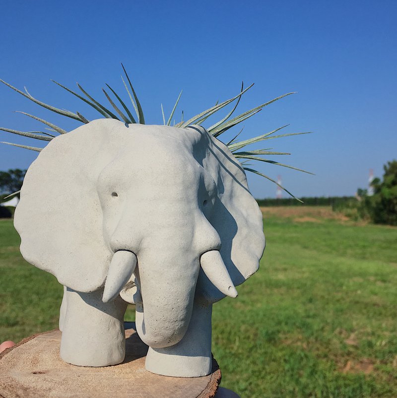 Elephant Cement Sculpture Pots - ตกแต่งต้นไม้ - ปูน สีเทา