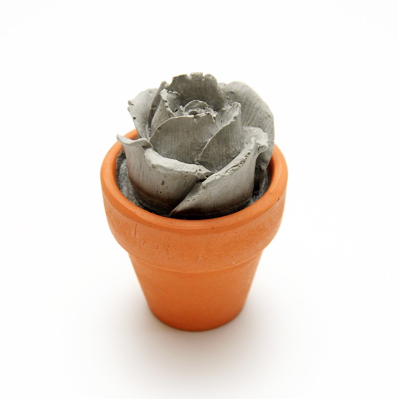 セメントローズミニ鉢植え-エタニティシリーズ - 観葉植物 - コンクリート グレー