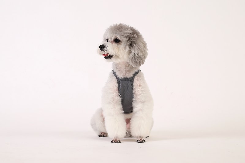 Gelato Pet Sleeveless Vest (Gray) - Clothing & Accessories - Cotton & Hemp Gray