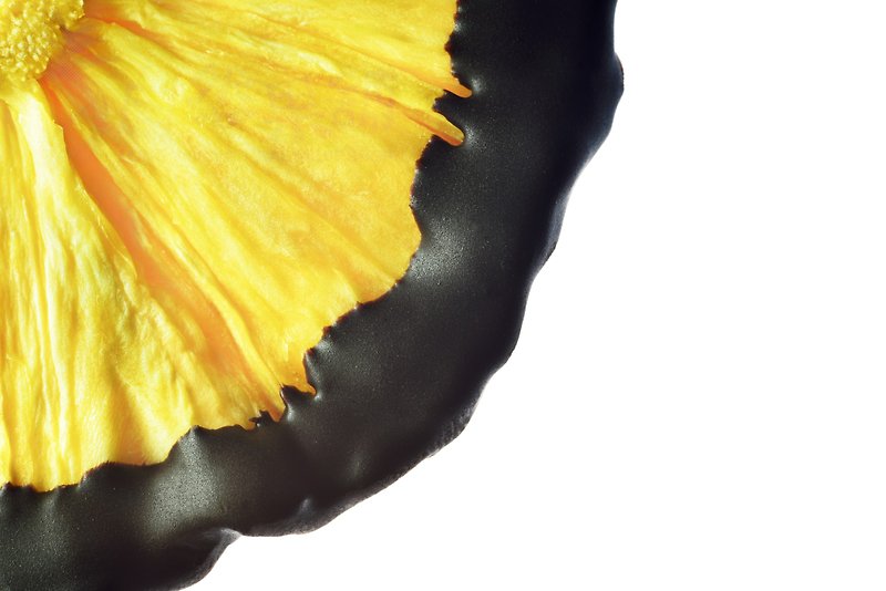 Dark Chocolate Dried Pineapple - Dried Fruits - Fresh Ingredients 