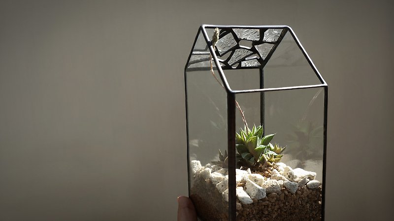 Light Room-Straight long flower room with succulent glass inlay - Plants - Glass Transparent