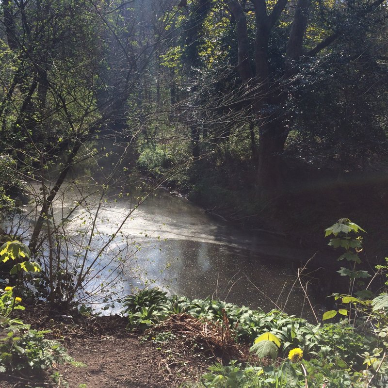 美麗的溪流│jesmond dene│英國製作│可自行裱褙│原作出清 - 海報/掛畫/掛布 - 紙 綠色