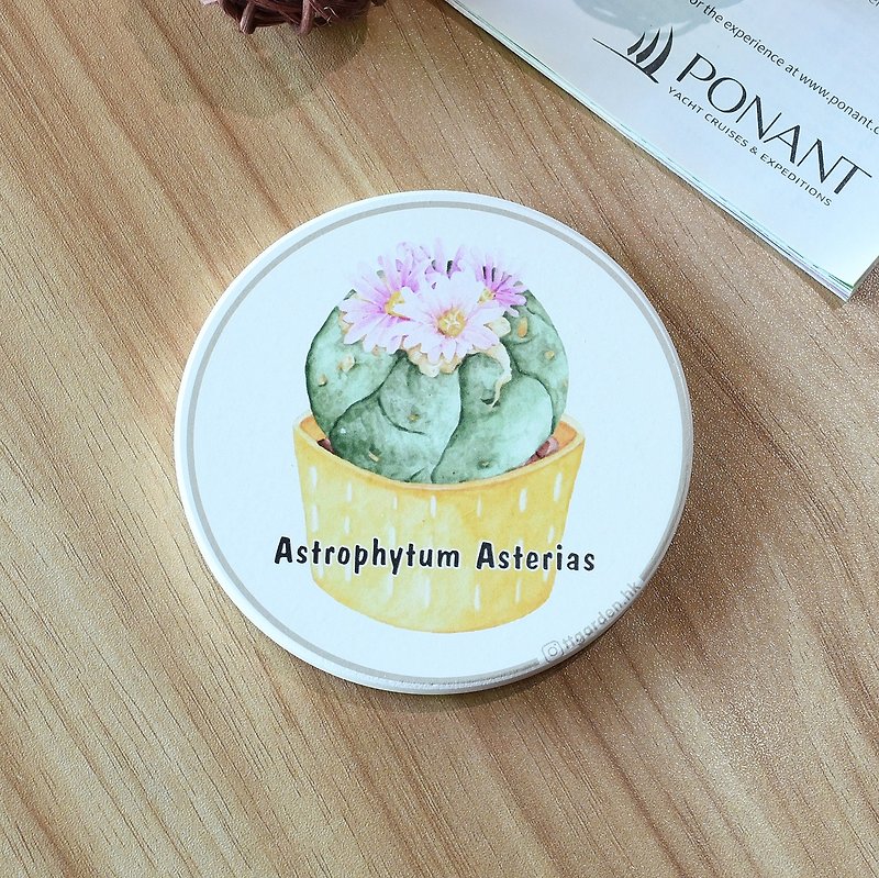 Astrophytum Asterias - ttgarden original ceramic absorbent coaster - Coasters - Pottery 