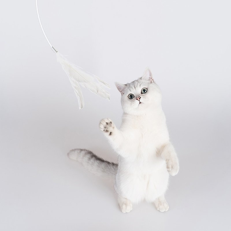 面白い猫スティック猫のおもちゃハンドヘルド柔らかいプラスチック面白い猫スティック羽猫用品ペット用品 - おもちゃ - プラスチック グレー