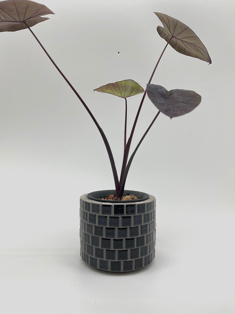 磁器モザイク花器/大 - 花瓶・植木鉢 - コンクリート ブラック
