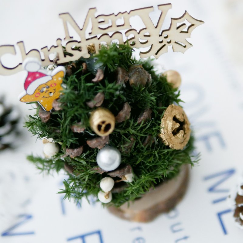 Pine Cone Christmas Tree Extremely Blossomy Preserved Flower Gift - ช่อดอกไม้แห้ง - พืช/ดอกไม้ สีเขียว