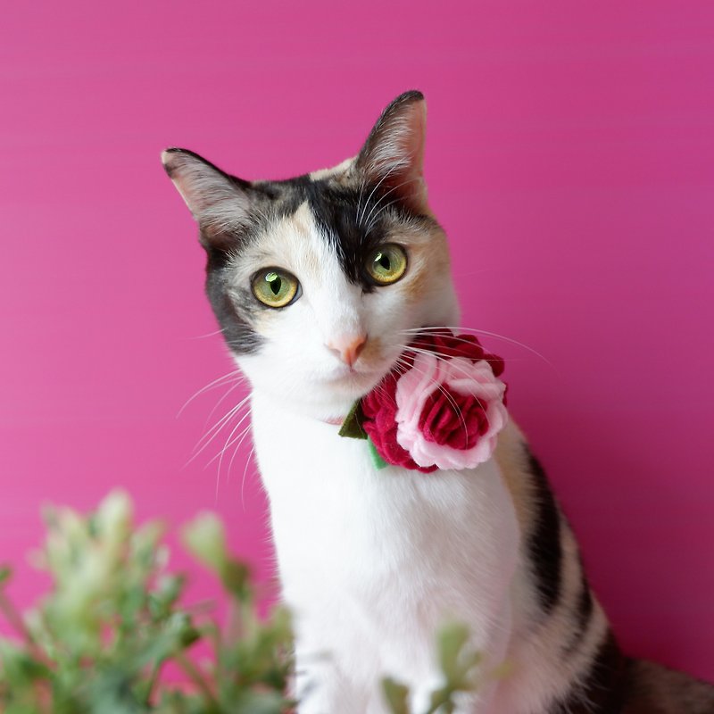 : BELLA MALA : Ruby rose breakaway cat collar - 貓狗頸圈/牽繩 - 棉．麻 粉紅色
