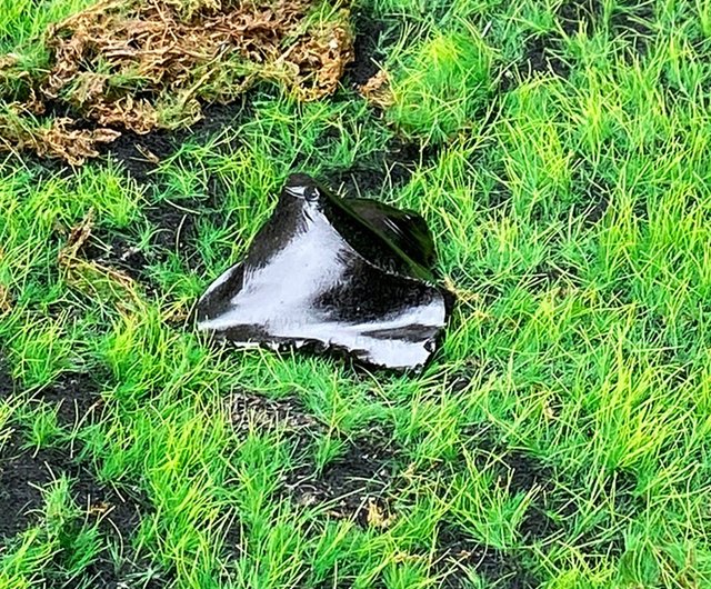 エネルギー装飾​​ - 邪気を避け、安全を保ちます。自然で美しい山の形