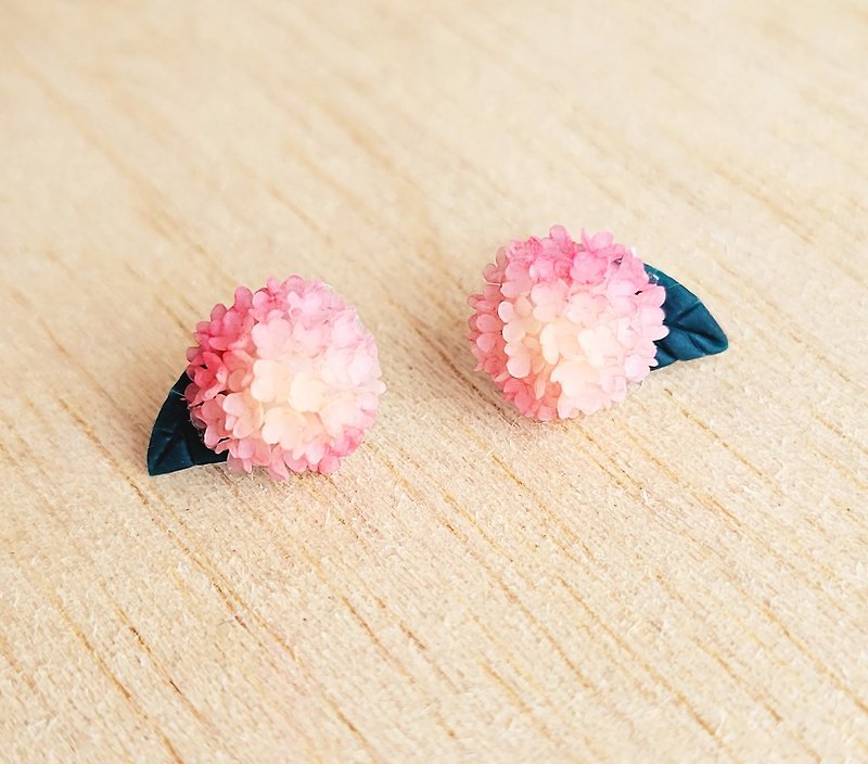Pink Orange Peach Gradient Hydrangea Sterling Silver Earrings/ Clip-On - Earrings & Clip-ons - Clay Pink