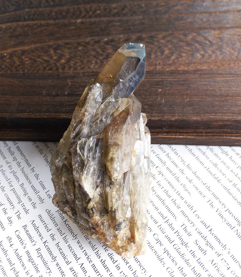 Smoky Quartz 巴西產地  煙水晶 茶晶 晶簇 天然礦石 原礦 - 擺飾/家飾品 - 其他材質 