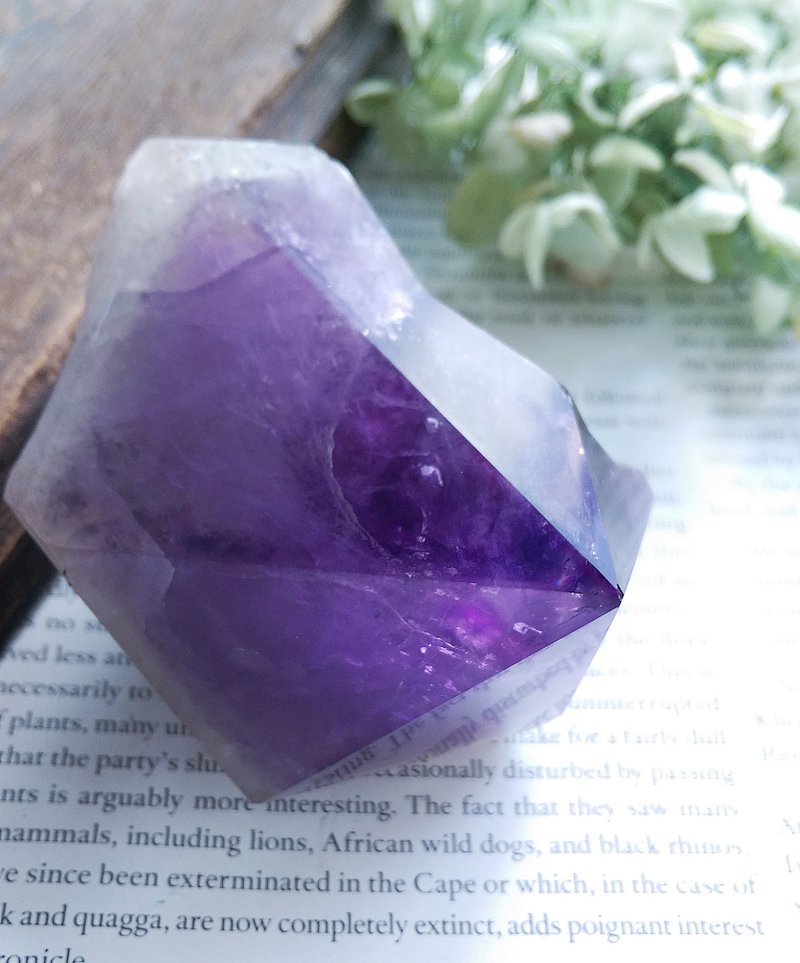 Amethyst 玻利維亞產地 大牙紫水晶 天然礦石 原礦 - 擺飾/家飾品 - 其他材質 