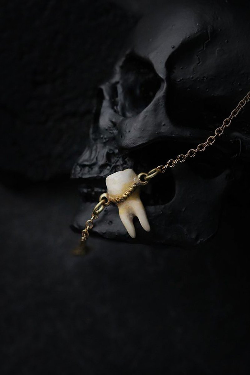 The Tooth charm bracelet Small Size - 手鍊/手環 - 其他金屬 