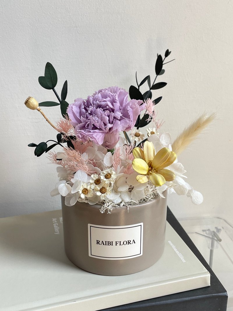 靜謐 ; 母親節 永生康乃馨 盆花花禮 乾燥花禮盒 母親節禮物 - 乾燥花/永生花 - 植物．花 