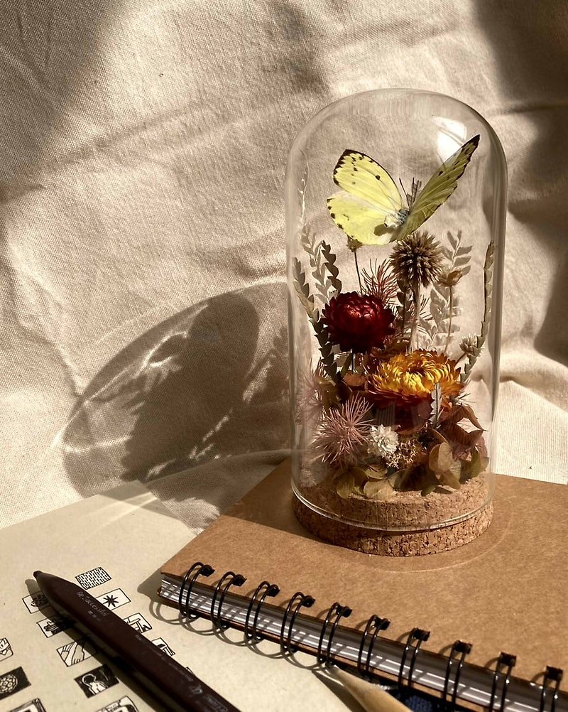 Butterfly Specimen Glass Cup-Feast of the Fruit God/Valentine's Day/Dried Flowers/Ecological Bottle/Eternal Flowers - ช่อดอกไม้แห้ง - พืช/ดอกไม้ สีเหลือง