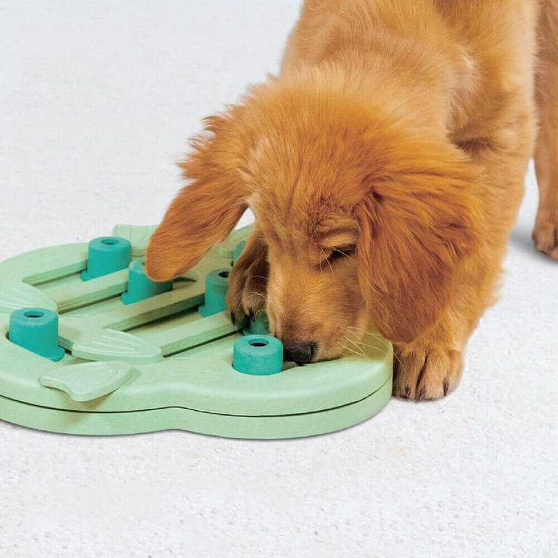 Nina Ottosson Dog Hide N Slide(Composite) - ของเล่นสัตว์ - ยาง 