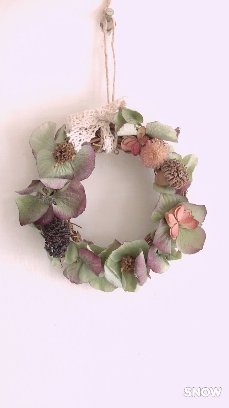 Puputraga / classical hydrangea / Christmas wreath / clear products - Plants - Plants & Flowers Green