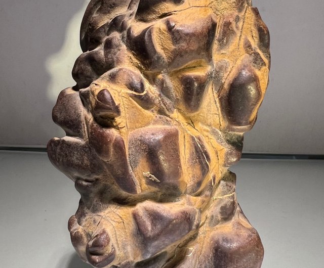 太湖石 置物 擺件 黄花梨台 天然石 唐物 約14kg/ 鑑賞石 WWFT052 中国 鑑賞石 太湖石 霊壁石 置物 自然石 飾り物｜Yahoo!フリマ