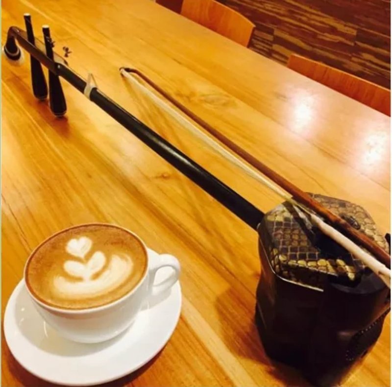 Erhu one-on-one experience course - Indoor/Outdoor Recreation - Other Materials 
