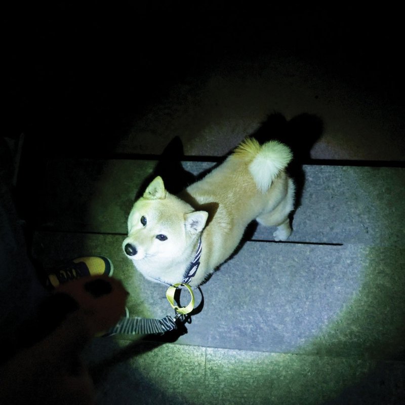 【MPETS】安全又方便! 犬用2合1 LED手電筒便便袋 - 其他 - 其他材質 多色