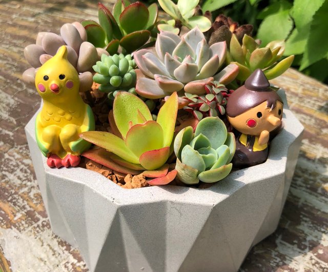 多肉植物アレンジメント*2 ギフト鉢植え】多肉植物/ハンドメイド