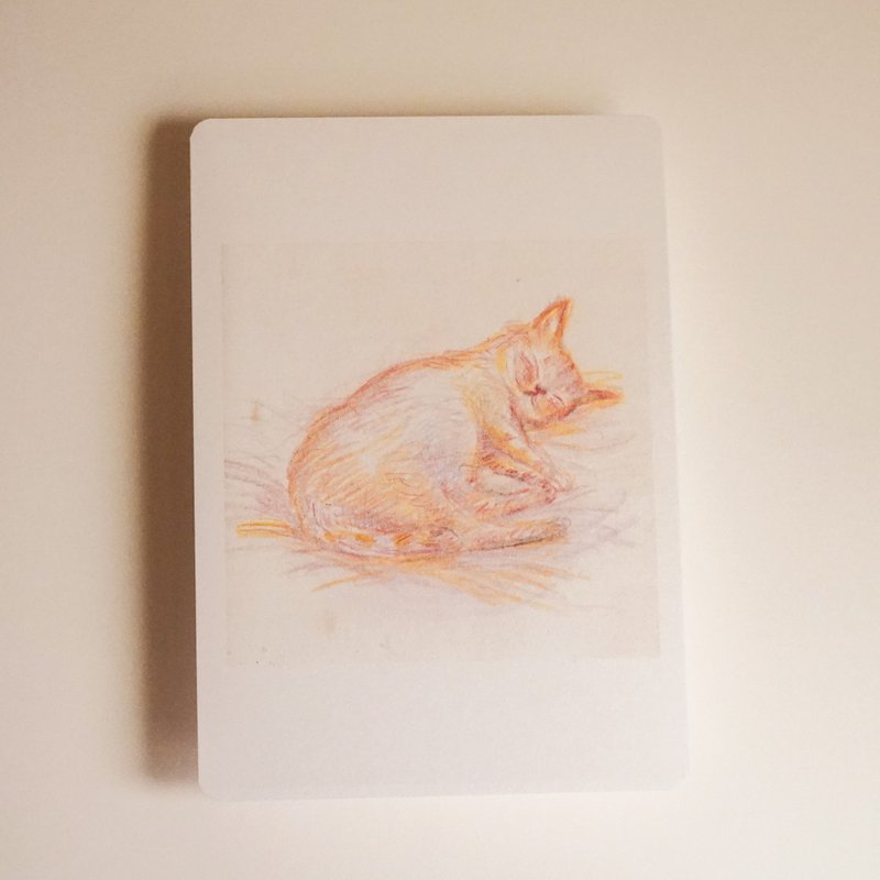 There are always cats on the negatives of postcard filmi - Cards & Postcards - Paper Pink