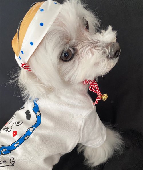* vintage dogl ❀ きょとんとしたお顔が 可愛い ワンちゃん vintageワンちゃん♪ おがくず人形 赤い犬 ぬいぐるみ MC35