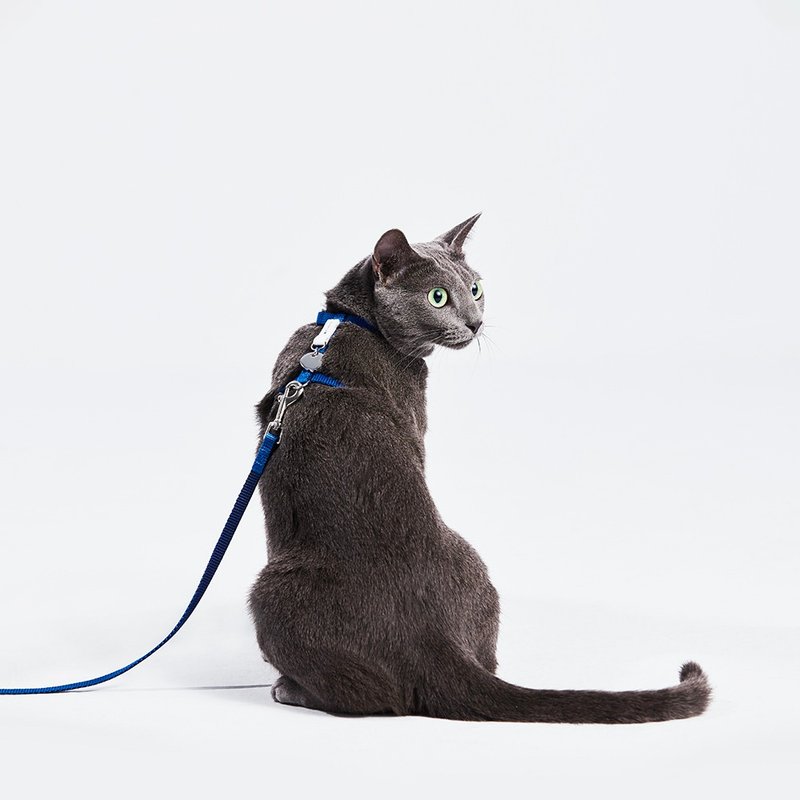 【tails&me x APUJAN】Black dot cat harness (grey/blue) - Collars & Leashes - Nylon 