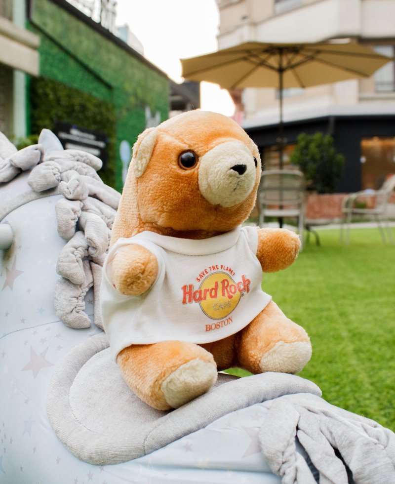 Tsubasa.Y│A04 hard rock cafe Hard Rock Bear Hard Stone Bear - ตุ๊กตา - วัสดุอื่นๆ สีนำ้ตาล