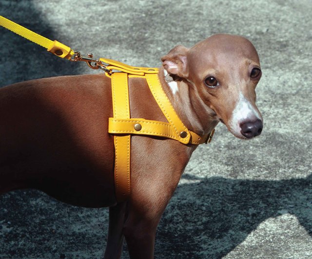 クラシックなペット用ハーネス、本革ソフトレザー、犬用ハーネス