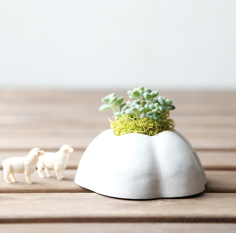 Frost Cake Mountain- Cement Succulents potted material package - ตกแต่งต้นไม้ - ปูน ขาว