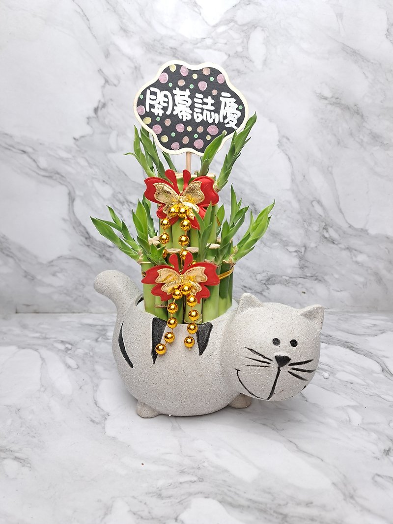 Wenqing Cat Lucky Bamboo Opening Gift Exchange Gift Move-in House Home Furnishings - ตกแต่งต้นไม้ - เครื่องลายคราม สีเทา