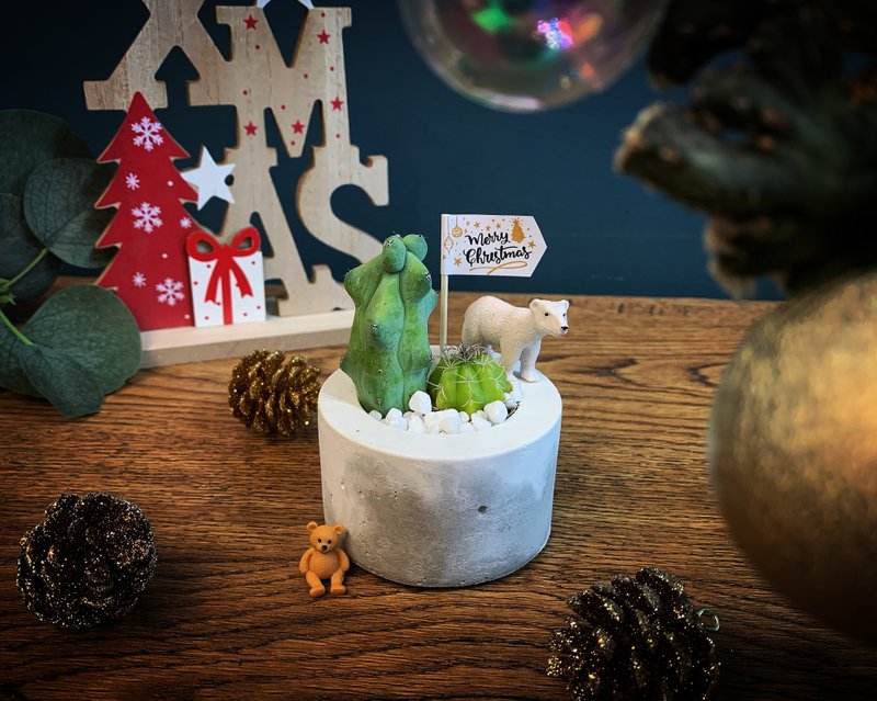 【24h出貨.超夯療癒系生日禮物】肉肉蛋糕盆 送動物 - 植物/盆栽/盆景 - 水泥 灰色