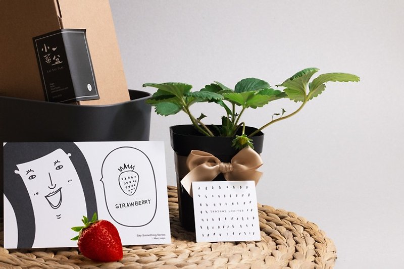 草莓果果禮物盒 - 植栽/盆栽 - 植物．花 