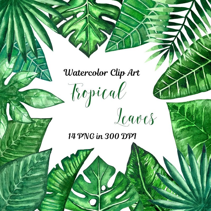 Jungle clipart. Palm leaves and banana leaves. Monstera. - Digital Planner & Materials - Other Materials 