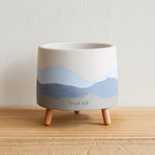 あんそら　ブリガミア インシグニ＋アロカシア サンデリアナ ノビリス Amazon｜サンデリアナ ノビリス アロカシア 観葉植物 インテリア