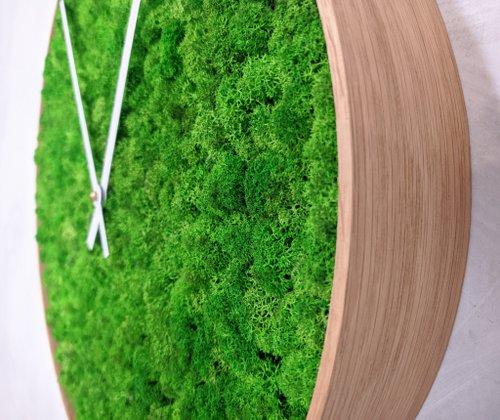 Moss picture, moss painting, moss wall decoration, green decor