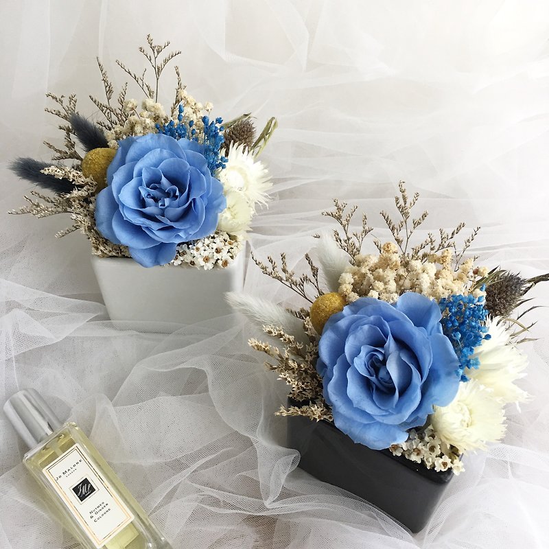 永生藍玫瑰花禮 陶瓷盆花 永生花 / 乾燥花 - 擺飾/家飾品 - 植物．花 