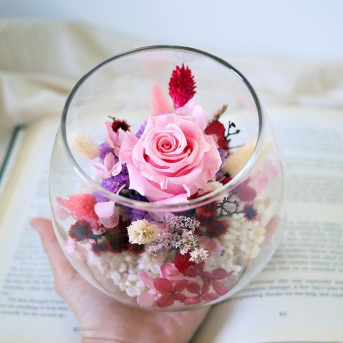 Pink Snow First Love-Immortal pink rose, not withered rose, dry glass table flower, eternal flower/star flower