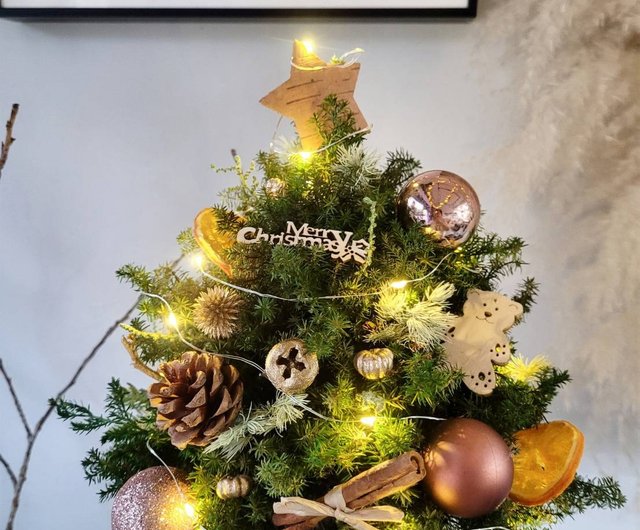 Workshop(s)】Haizang Design│Magic Forest. Small Christmas tree crafting  class with string lights (dry cedar/everlasting) - Shop piratedesign Plants  & Floral Arrangement - Pinkoi