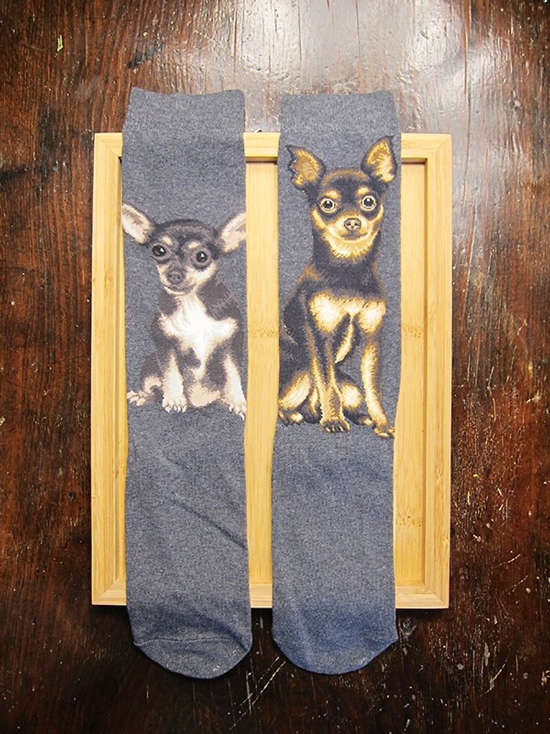 JHJ Design Canadian Brand High Color Knitted Cotton Socks Dog Series Chihuahua (Female) Puppies Love Dogs Cute - ถุงเท้า - ผ้าฝ้าย/ผ้าลินิน สีเทา