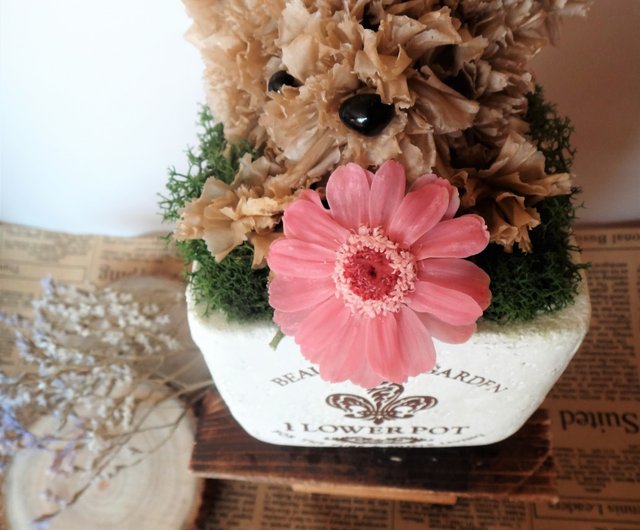 動物系列 小熊盆花花禮 永生花 不凋花 熊 設計館fairy Tale 故事花屋 乾花 永生花 Pinkoi 動物系列 小熊盆花花禮 永生花 不凋花 熊 設計館fairy Tale 故事花屋 乾花 永生花 Pinkoi