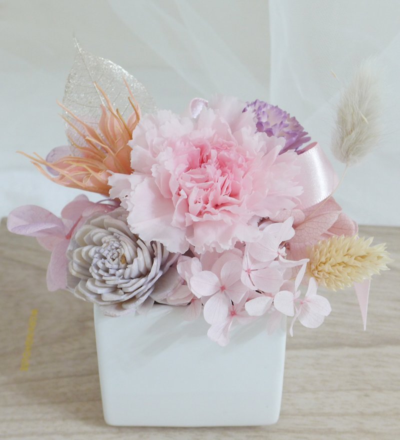 Immortal Carnation Potted Flowers Wedding Bouquet Immortal Dried Flowers Valentine's Day Mother's Day Birthday Graduation Gift - ช่อดอกไม้แห้ง - พืช/ดอกไม้ สึชมพู
