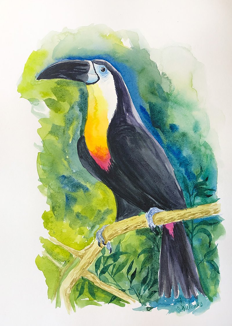 Toucan Painting Bird Original Artwork Animal Watercolor Tropical Wall Art - 海報/掛畫/掛布 - 紙 綠色