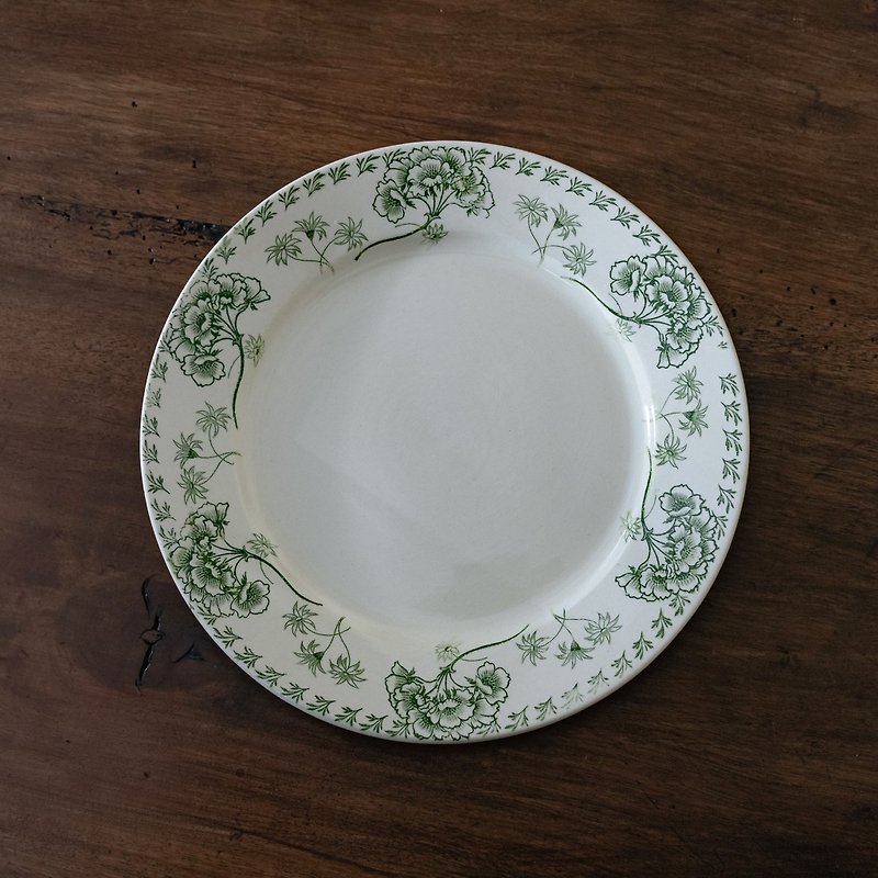 柳染めグリーンディナープレート 直径24cm - 皿・プレート - 陶器 