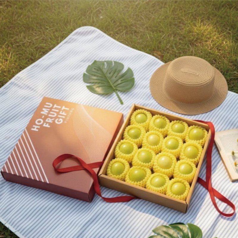 【愛不囉嗦（A-Bu-Luo-Suo）】禾木厳選 蜜棗ギフトボックス（送料無料） -2026/1/13より順次発送 - その他 - その他の素材 