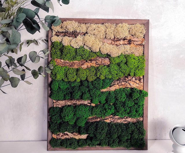 Preserved Moss Wall Vegetation Picture