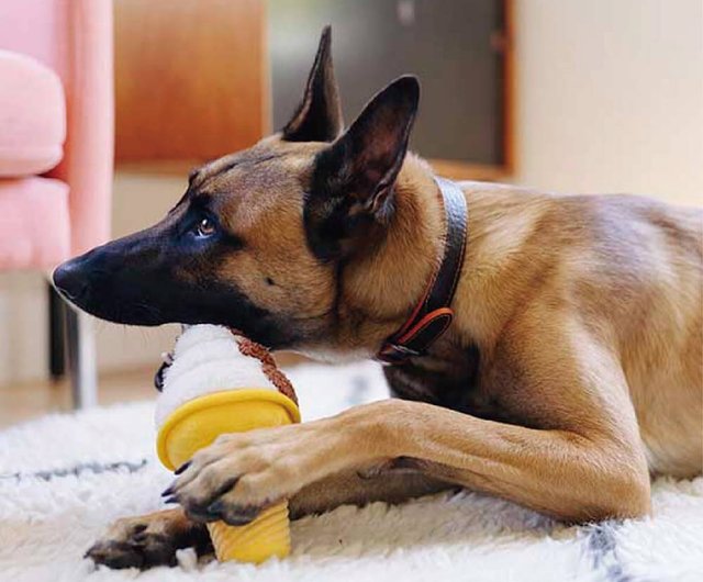 Snack Attack! Pizza, Ice Cream and Lollipop Dog Toy Set - P.L.A.Y.